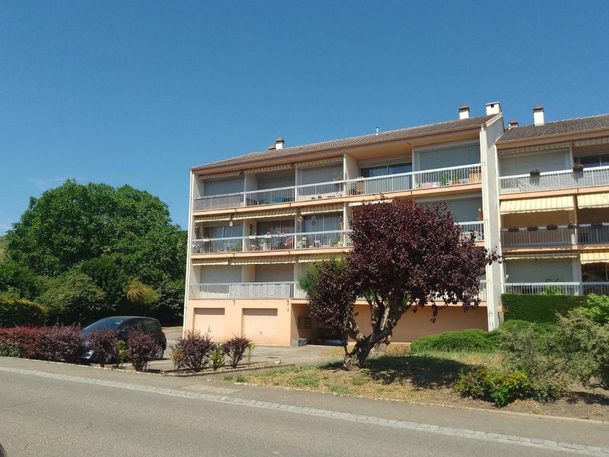 Appartement Avec Balcon : Le Serenity Turckheim Exterior foto